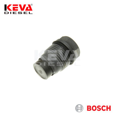 1110010016 Bosch Pressure Limiting Valve for Fendt - 1