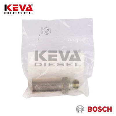 2417413087 Bosch Overflow Valve for Daf, Man - 2