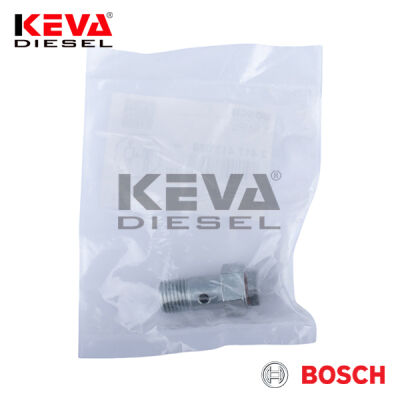 2417413088 Bosch Overflow Valve for Man - 2