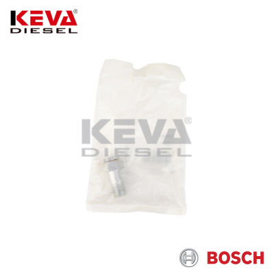 2417413101 Bosch Overflow Valve for Case, Cummins, Mack - 2