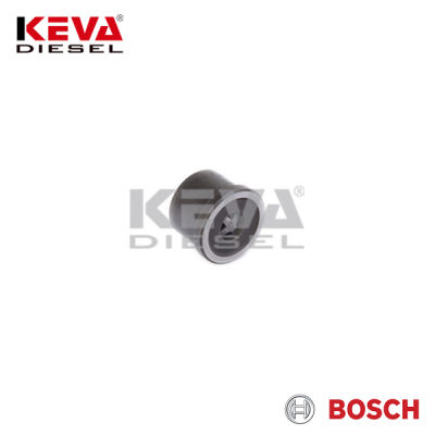 2418552073 Bosch Pump Delivery Valve for Man - 4