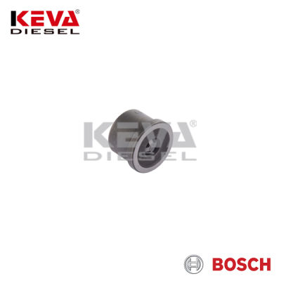 2418552101 Bosch Pump Delivery Valve for Mercedes Benz - 4