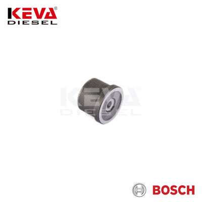 2418554033 Bosch Pump Delivery Valve for Scania - 4