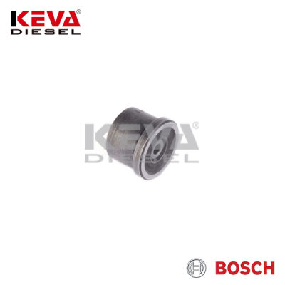 2418554043 Bosch Pump Delivery Valve for Volvo - 4