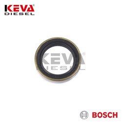 2420206015 Bosch Seal Ring for Man - Bosch