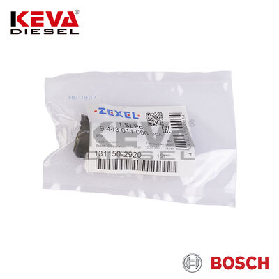 9443611096 Bosch Pump Element - 1