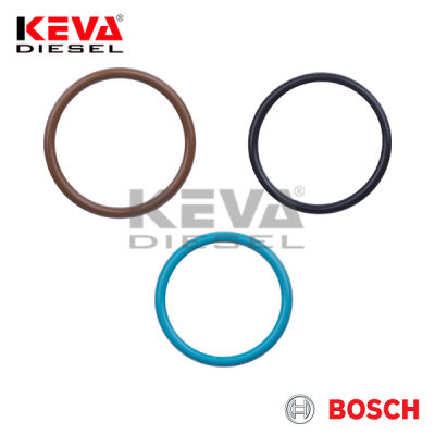 F00VX99996 Bosch Repair Kit for Iveco, Case, Dtc (diesel Technology) - 1