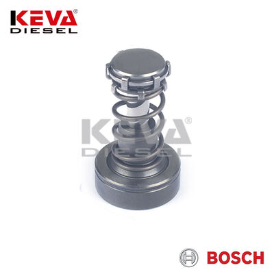 F01M101347 Bosch Pump Element for Renault - 2